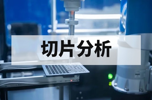 切片分析是什么？制样流程、观察方法与应用解析