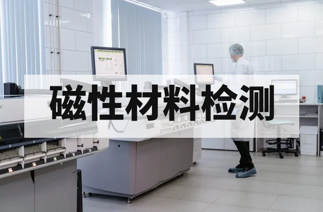 磁畴壁运动速度检测技术与应用解析